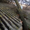 Emergency Restoration Services: Restoring Properties And Gas Plumbing In Hollywood, FL