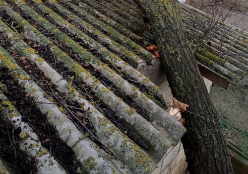Emergency Restoration Services: Restoring Properties And Gas Plumbing In Hollywood, FL